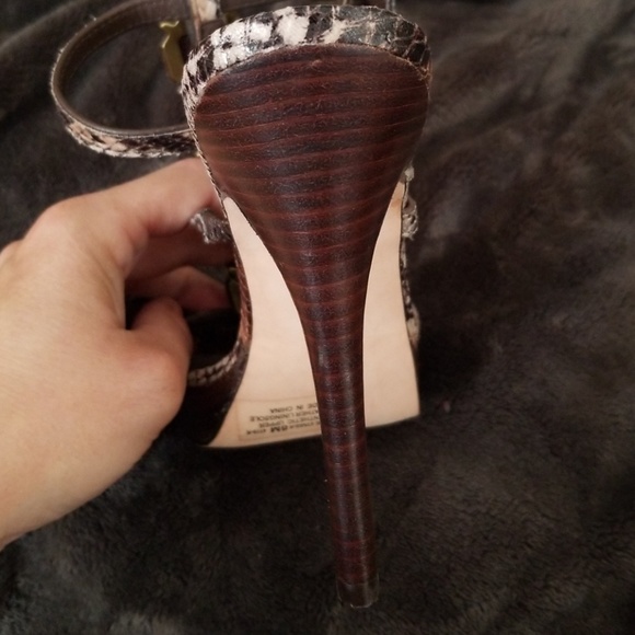 chinese laundry snakeskin